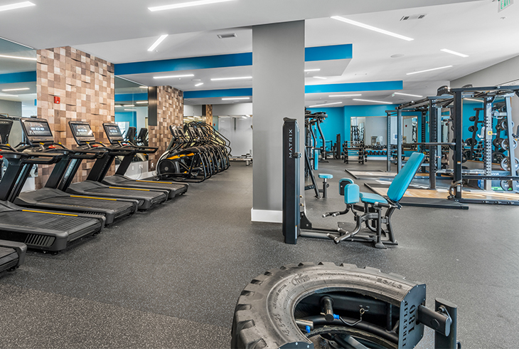 Ann Arbor Gyms
